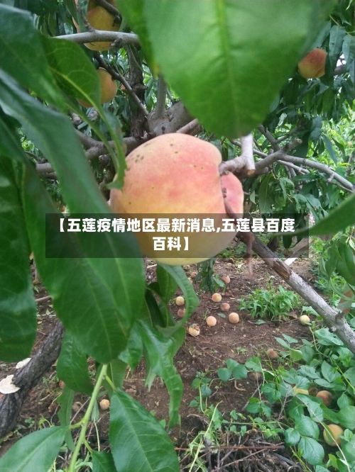 【五莲疫情地区最新消息,五莲县百度百科】