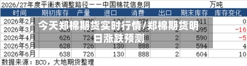 今天郑棉期货实时行情/郑棉期货明日涨跌预测