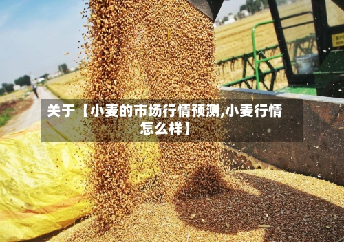 关于【小麦的市场行情预测,小麦行情怎么样】-第2张图片