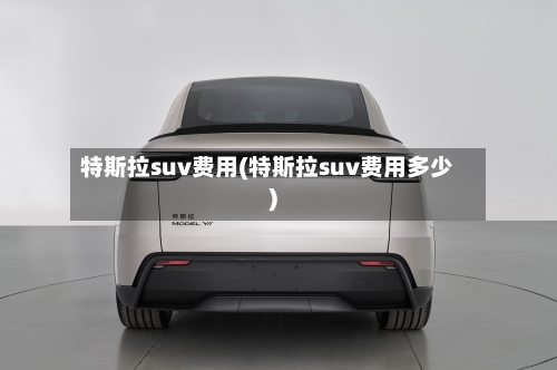 特斯拉suv费用(特斯拉suv费用多少)