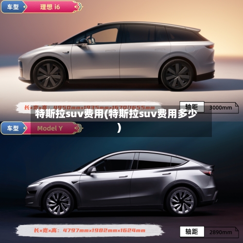特斯拉suv费用(特斯拉suv费用多少)-第2张图片