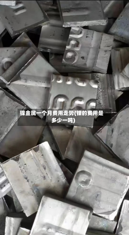 镍金属一个月费用走势(镍的费用是多少一吨)-第2张图片