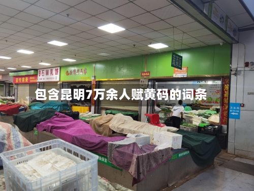 包含昆明7万余人赋黄码的词条