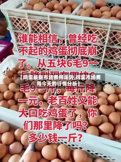 【鸡蛋最新市场费用走势,鸡蛋市场费用今天的行情分析】-第2张图片