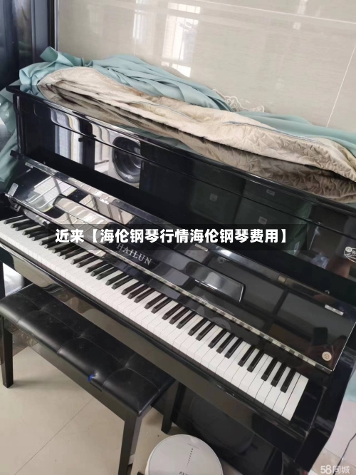 近来【海伦钢琴行情海伦钢琴费用】-第2张图片