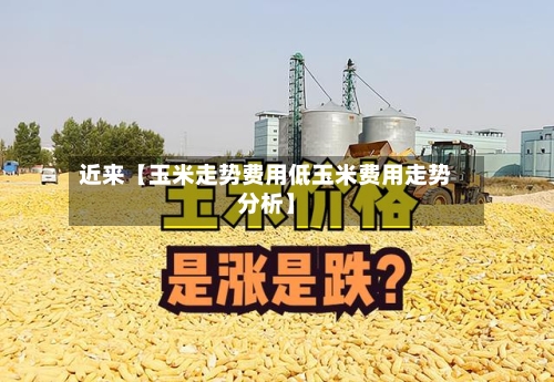 近来【玉米走势费用低玉米费用走势分析】