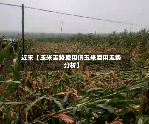 近来【玉米走势费用低玉米费用走势分析】-第2张图片