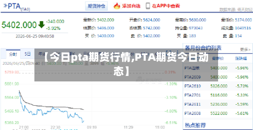 【今日pta期货行情,PTA期货今日动态】-第2张图片