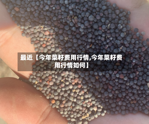 最近【今年菜籽费用行情,今年菜籽费用行情如何】-第2张图片
