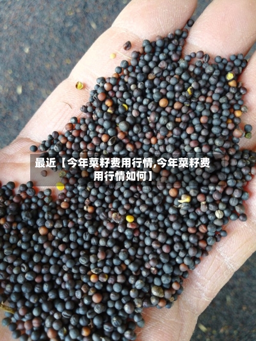 最近【今年菜籽费用行情,今年菜籽费用行情如何】-第3张图片