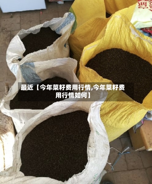 最近【今年菜籽费用行情,今年菜籽费用行情如何】