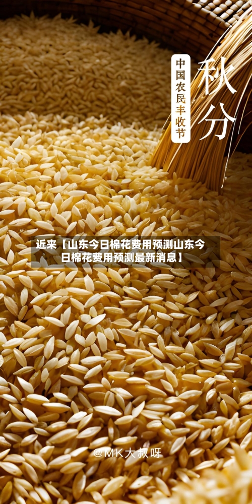 近来【山东今日棉花费用预测山东今日棉花费用预测最新消息】-第3张图片