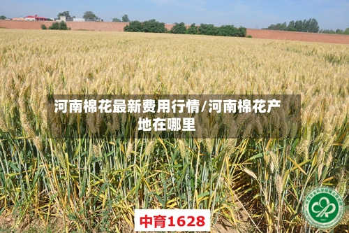 河南棉花最新费用行情/河南棉花产地在哪里