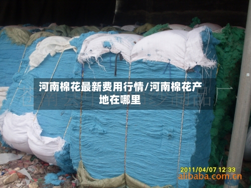 河南棉花最新费用行情/河南棉花产地在哪里-第2张图片
