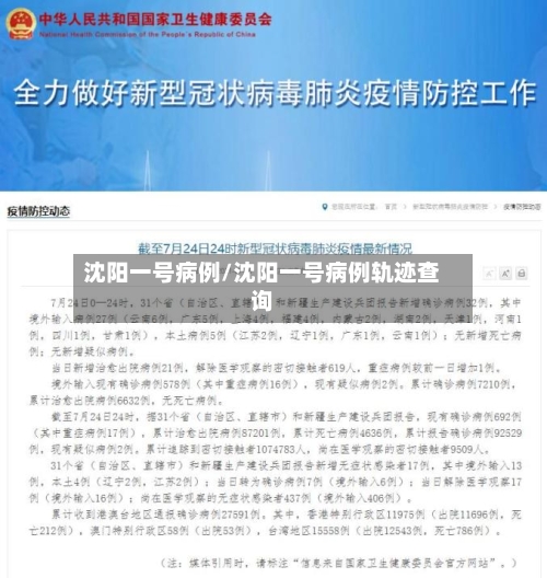 沈阳一号病例/沈阳一号病例轨迹查询-第2张图片