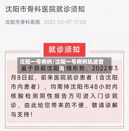 沈阳一号病例/沈阳一号病例轨迹查询