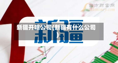 新疆开啥公司(新疆有什么公司)