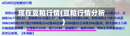 现在豆粕行情(豆粕行情分析)-第3张图片