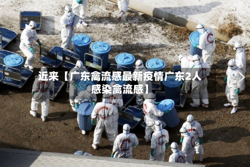 近来【广东禽流感最新疫情广东2人感染禽流感】