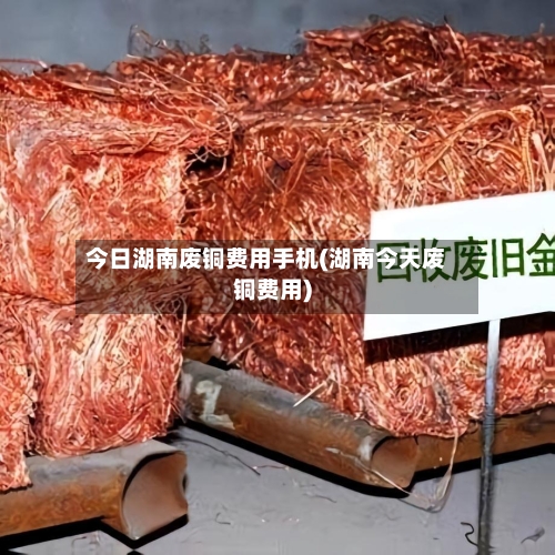 今日湖南废铜费用手机(湖南今天废铜费用)