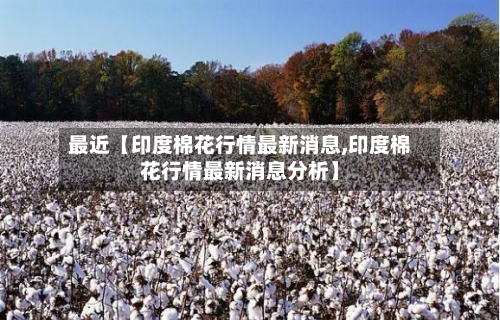 最近【印度棉花行情最新消息,印度棉花行情最新消息分析】