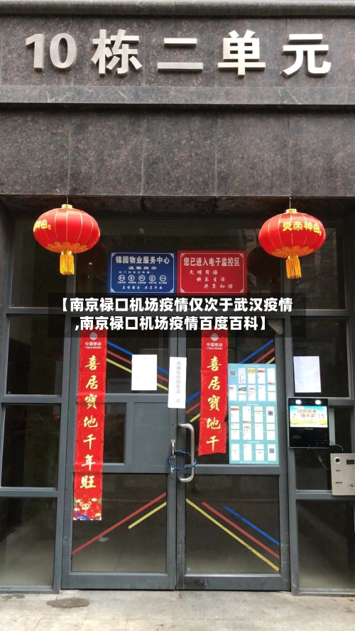 【南京禄口机场疫情仅次于武汉疫情,南京禄口机场疫情百度百科】-第2张图片