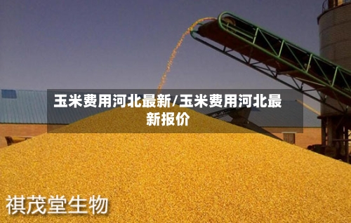 玉米费用河北最新/玉米费用河北最新报价-第3张图片