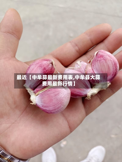 最近【中牟蒜最新费用表,中牟县大蒜费用最新行情】