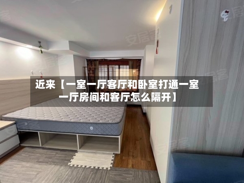 近来【一室一厅客厅和卧室打通一室一厅房间和客厅怎么隔开】-第2张图片