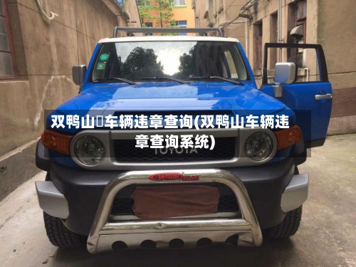 双鸭山帀车辆违章查询(双鸭山车辆违章查询系统)