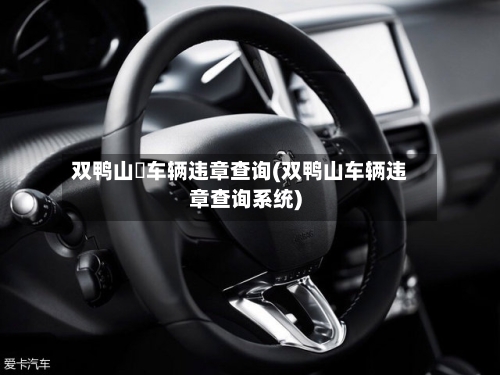 双鸭山帀车辆违章查询(双鸭山车辆违章查询系统)-第2张图片