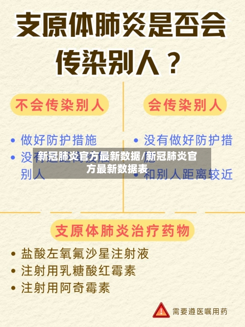 新冠肺炎官方最新数据/新冠肺炎官方最新数据表-第2张图片