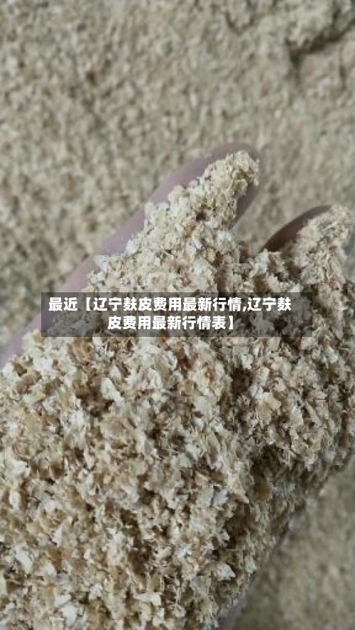 最近【辽宁麸皮费用最新行情,辽宁麸皮费用最新行情表】-第2张图片