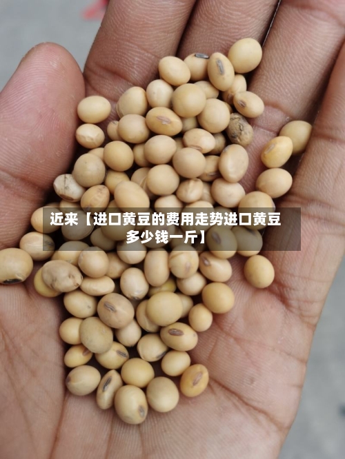 近来【进口黄豆的费用走势进口黄豆多少钱一斤】