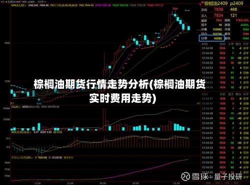 棕榈油期货行情走势分析(棕榈油期货实时费用走势)-第3张图片