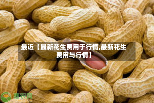 最近【最新花生费用于行情,最新花生费用与行情】