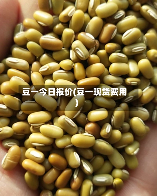 豆一今日报价(豆一现货费用)