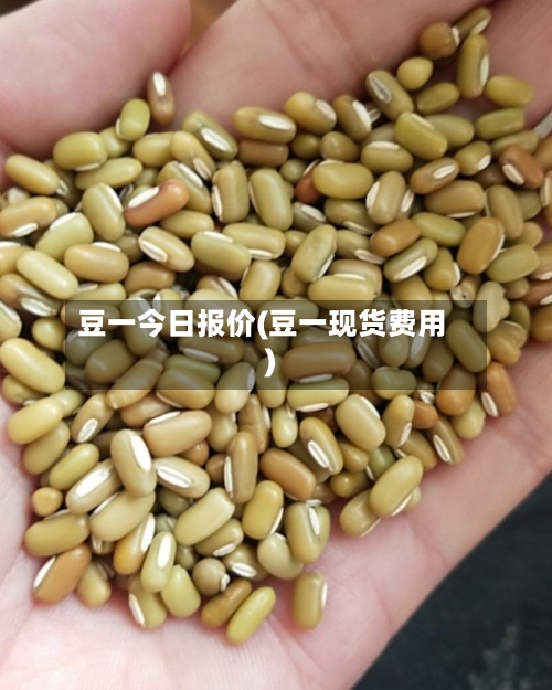 豆一今日报价(豆一现货费用)-第2张图片