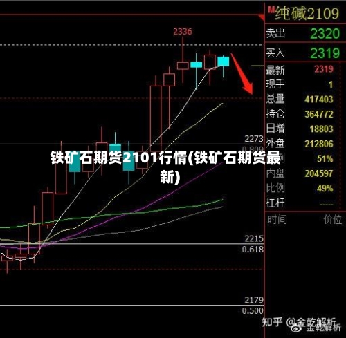 铁矿石期货2101行情(铁矿石期货最新)
