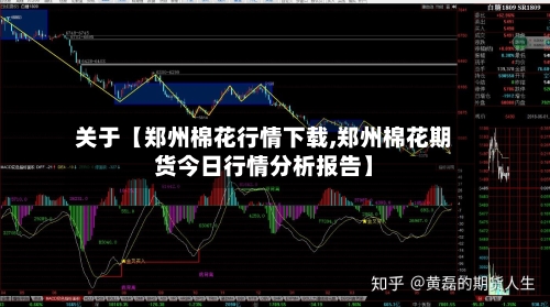 关于【郑州棉花行情下载,郑州棉花期货今日行情分析报告】-第3张图片