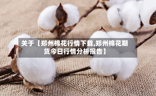 关于【郑州棉花行情下载,郑州棉花期货今日行情分析报告】-第2张图片