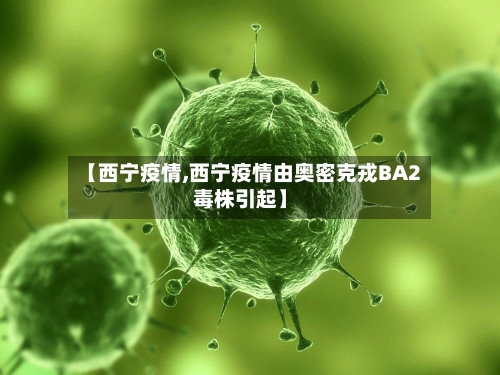 【西宁疫情,西宁疫情由奥密克戎BA2毒株引起】