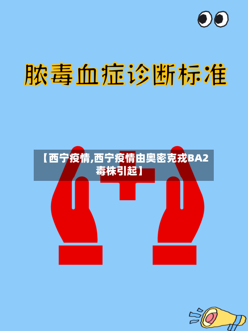【西宁疫情,西宁疫情由奥密克戎BA2毒株引起】-第2张图片