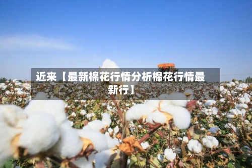 近来【最新棉花行情分析棉花行情最新行】-第2张图片