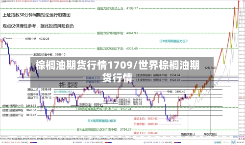 棕榈油期货行情1709/世界棕榈油期货行情-第2张图片