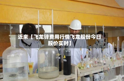 近来【飞龙锌费用行情飞龙股份今日股价实时】