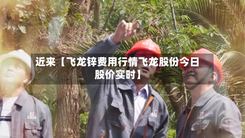 近来【飞龙锌费用行情飞龙股份今日股价实时】-第2张图片