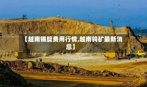 【越南锡腚费用行情,越南钨矿最新消息】