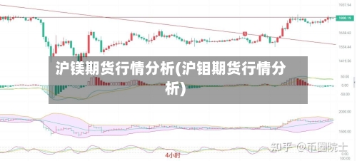 沪镁期货行情分析(沪钼期货行情分析)