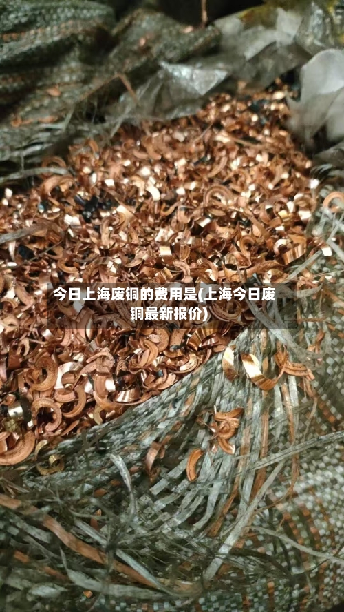 今日上海废铜的费用是(上海今日废铜最新报价)